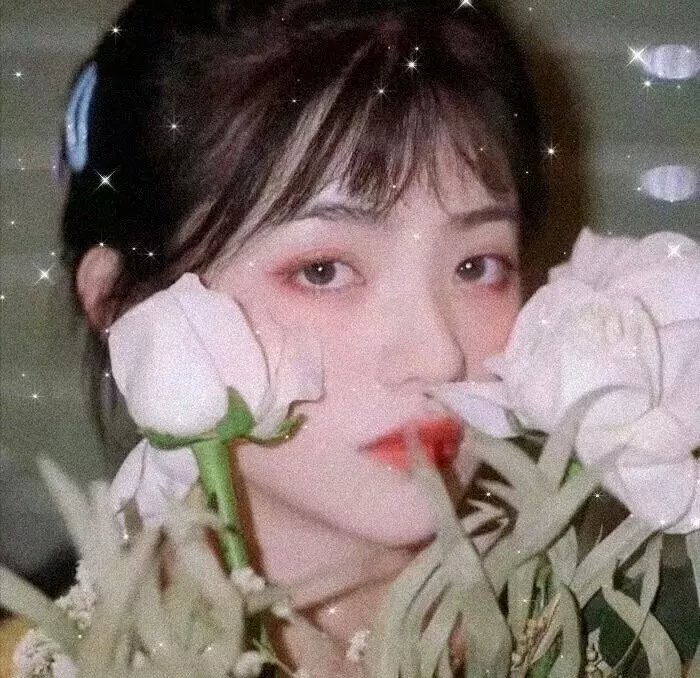 半妖倾城2